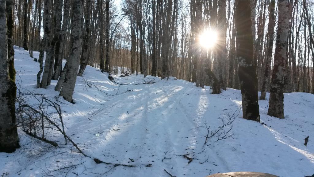 Il Canalotto Longi Esterno foto