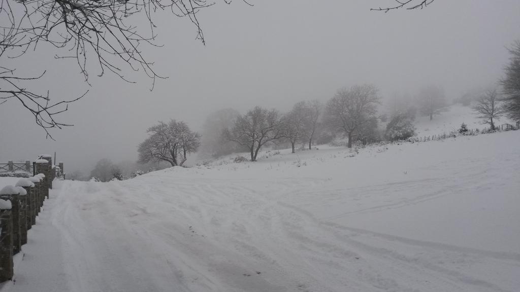 Il Canalotto Longi Esterno foto