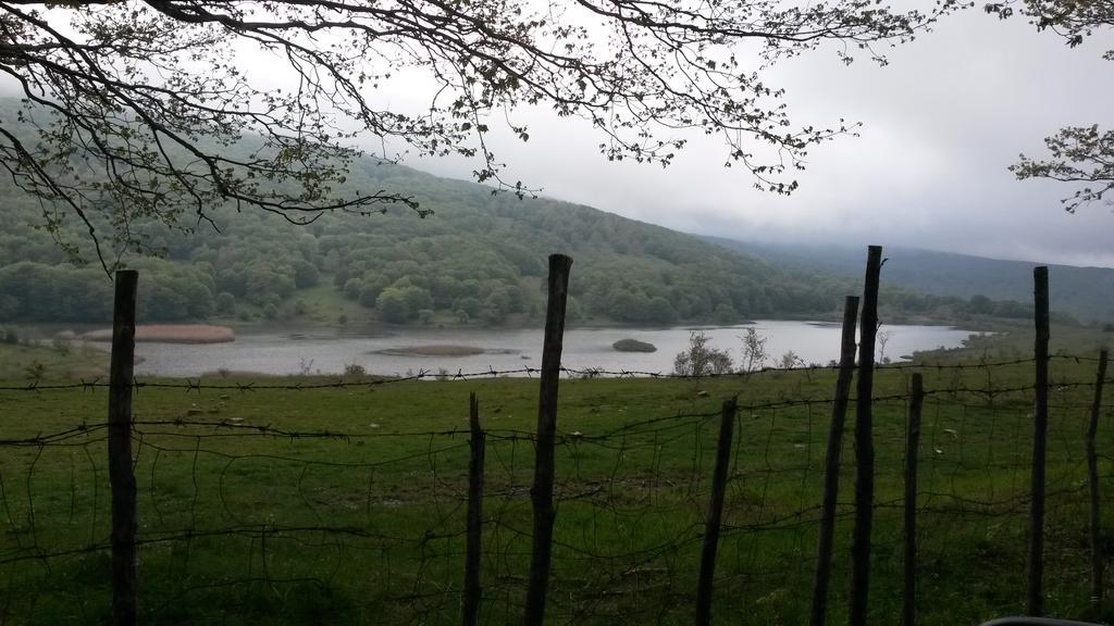 Il Canalotto Longi Esterno foto