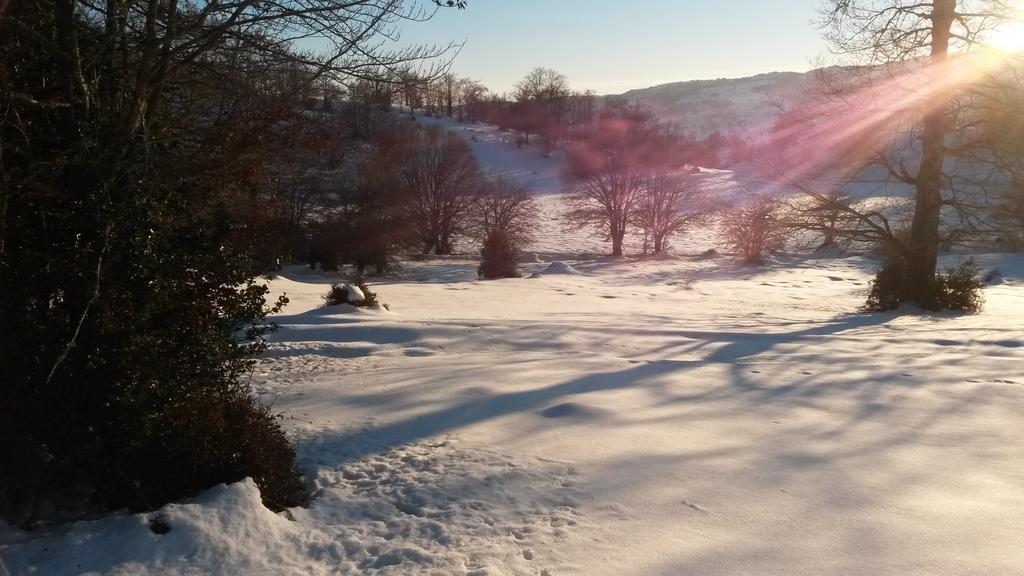 Il Canalotto Longi Esterno foto